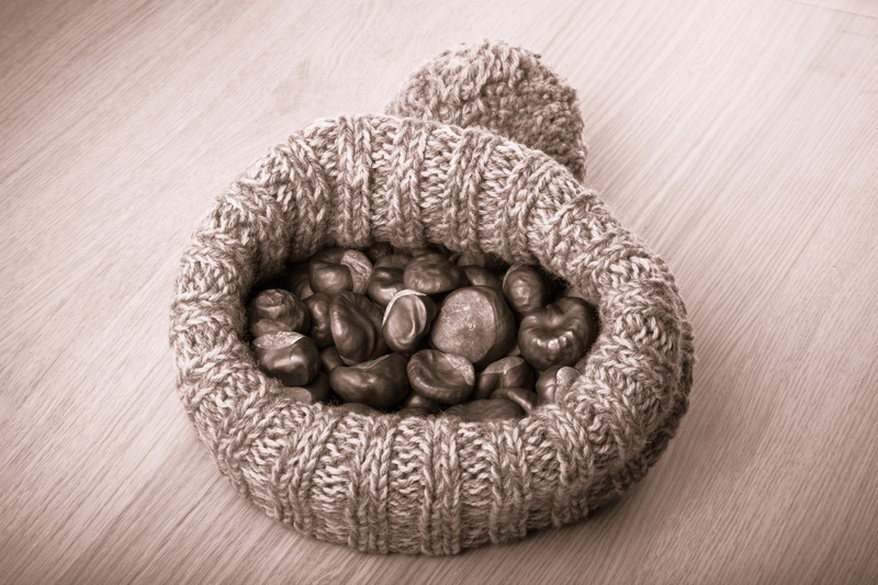 waste disposal household